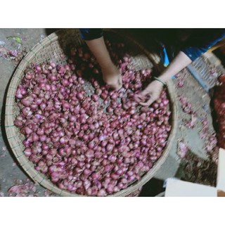 Hành củ tím chuẩn vị hành tại Huế 1kg