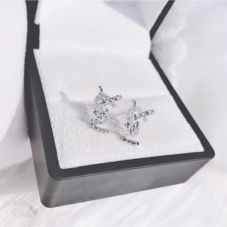 Set YSL 2 dạng khuyên