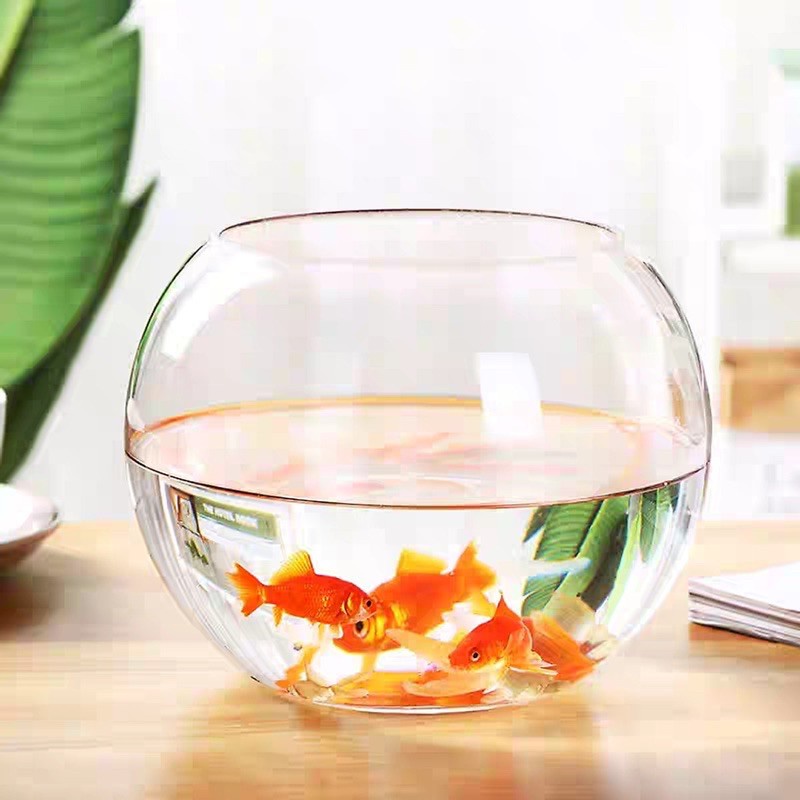 Bể cá mini tròn để bàn, chậu thủy tinh trồng cây thủy sinh, chậu thủy tinh trang trí