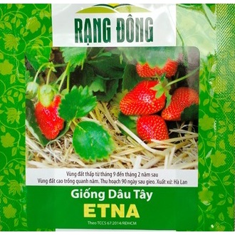 Hạt Giống Dâu Tây Đỏ Siêu Trái, Thơm Ngọt- Key: Đất sạch, Phân Bón, Hữu Cơ, Xơ Dừa