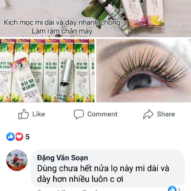 Dài mi maroc 100% từ thiên nhiên