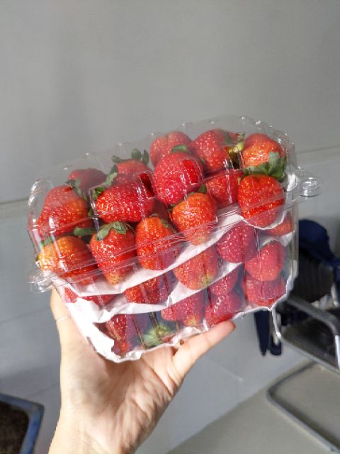 Dâu tây Đà Lạt thường lớn (hình thật) | BigBuy360 - bigbuy360.vn