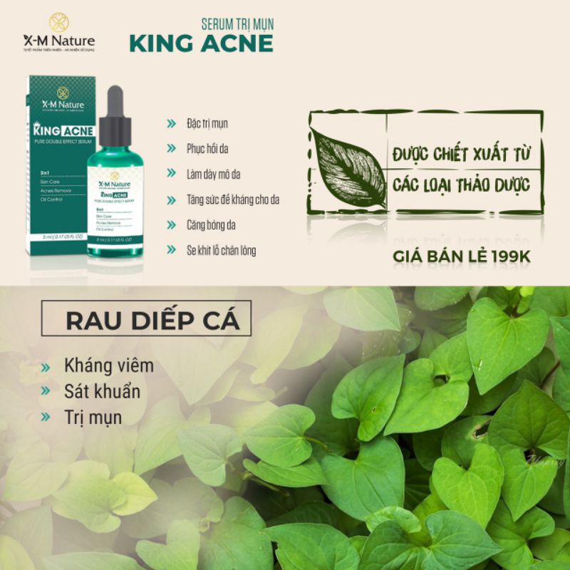 Combo 5 SRUM MỤN KING ACNE Xm-Nature