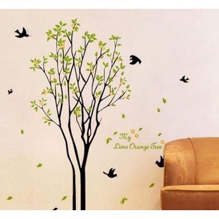 DECAL DÁN TƯỜNG COMBO GIÀN CÂY XANH