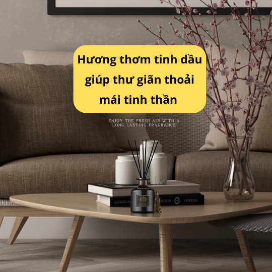 Tinh Dầu Thơm Phòng Nước Hoa WIACHNN Lưu Hương Lâu Trong Phòng Khách Làm Mát Không Khí Khử Mùi Nhà Vệ Sinh KT11