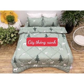 [sale rẻ]Chăn phao ruột bông dày 1m8x2m,có chọn mẫu,MẪU CÂY THÔNG XANH