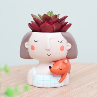 Chậu cây mini