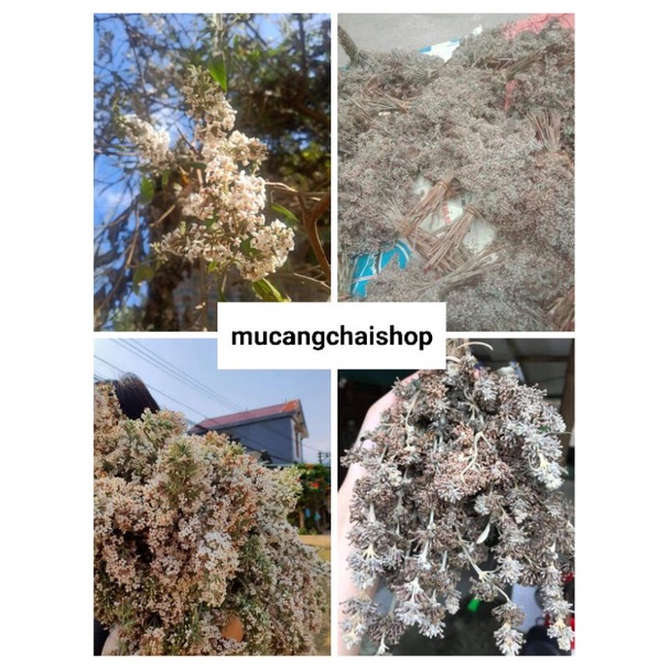 Hoa mật mông  nấu xôi màu vàng túi 100g