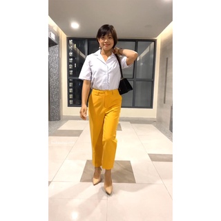 Áo Sơ Mi Cao Cấp 3 Đậu Đậu