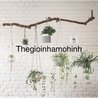 Dây treo chậu cây, macrame, decor, dây treo trang trí