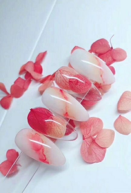 Hoa khô lụa cánh to