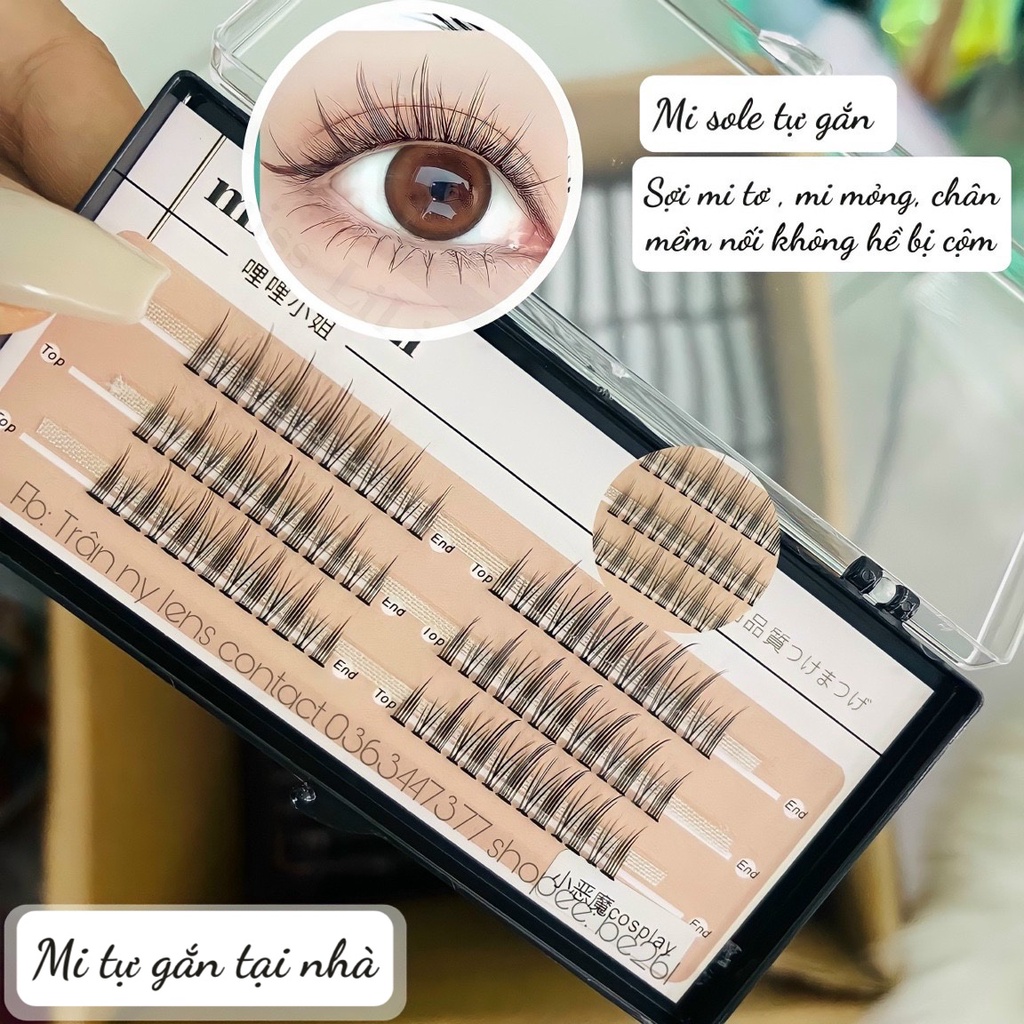 Lông mi giả trang điểm tự nhiên Mi chùm tách sợi tự nối hottrend tiktok - PIONI