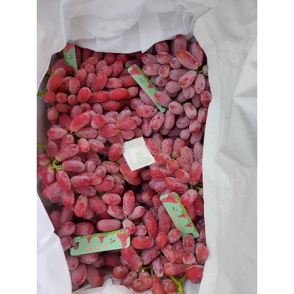 NHO ĐỎ RUBY KHÔNG HẠT TRÁI SIÊU GIÒN NGỌT