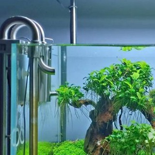 In Out Inox xoay được