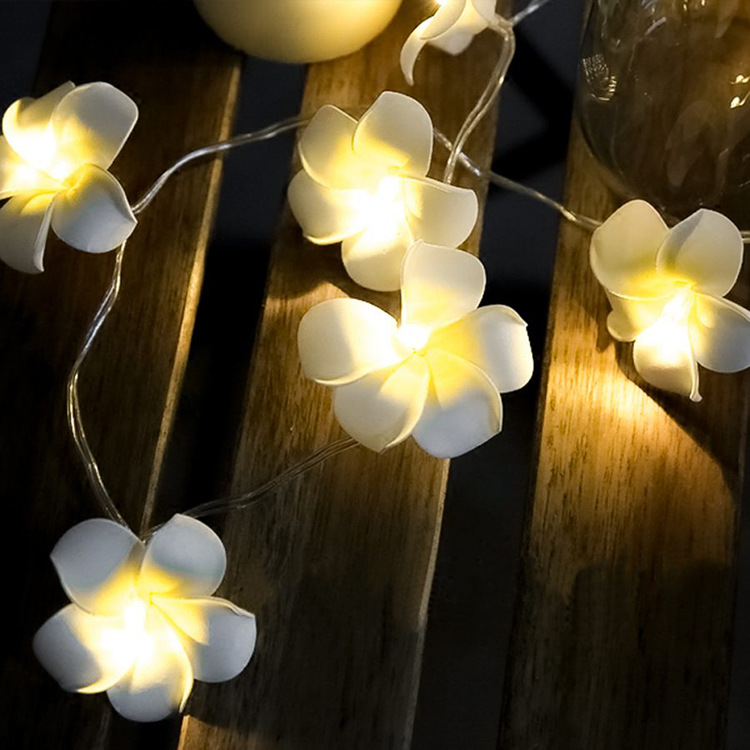 Led frangipani lamp string ins room decoration lamp wedding outdoor holiday lantern  Fairy Light Led Operated Pixie Light 3metres 30L Christmas decorations  Lamp Lights 10/20/30/50 LED Fairy LED String Round Ball Blubs Party Decor