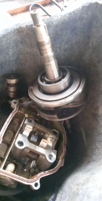 Dên xe Attila Victoria ailizabe