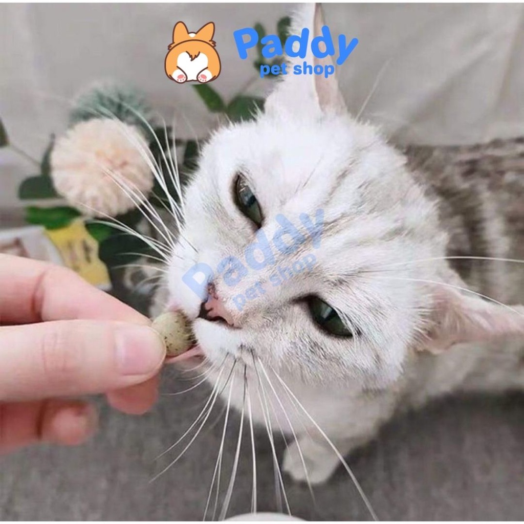 Viên Snack Dinh Dưỡng Cho Mèo GimCat Tabs
