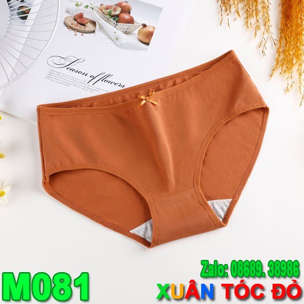 SỈ RẺ HƠN 20-40%_ Quần Lót Cotton Trơn 7 Màu Mới Cực Xịn M081