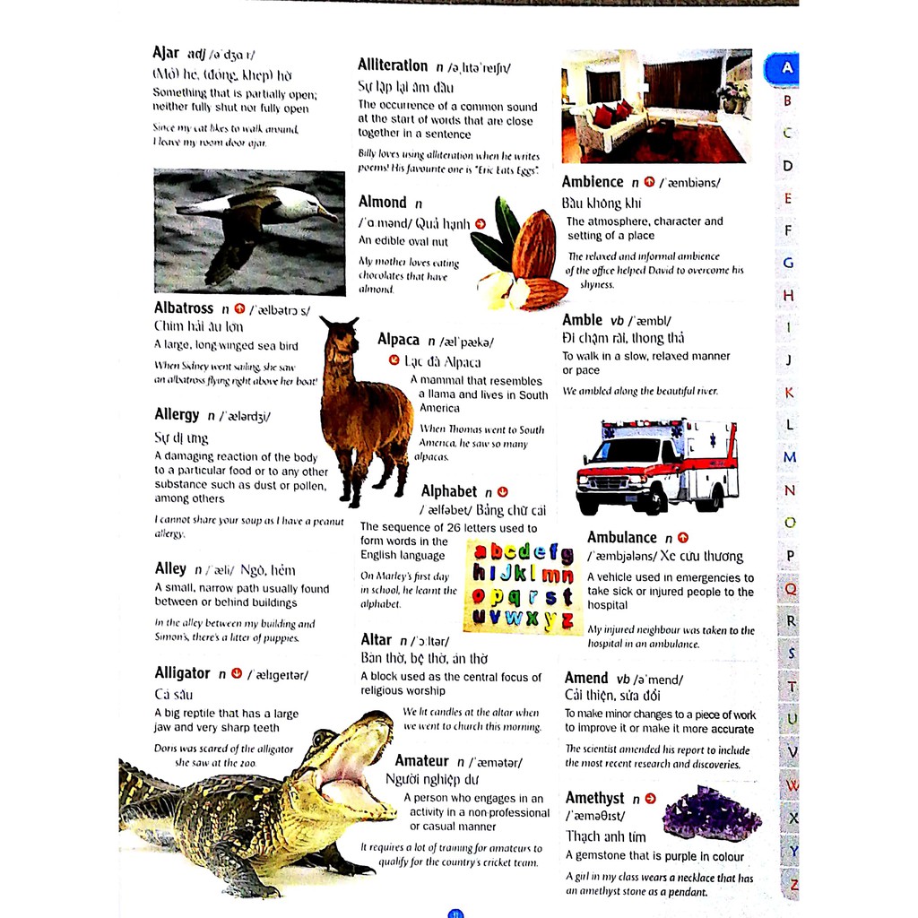 Sách: Chilldrens Picture Dictionary - Từ Điển Tranh Dành Cho Trẻ Em