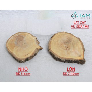 Lát gỗ mini trang trí số 02 (Nhìu cỡ)