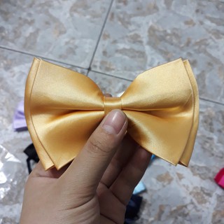 Nơ Mèo cho chú rể