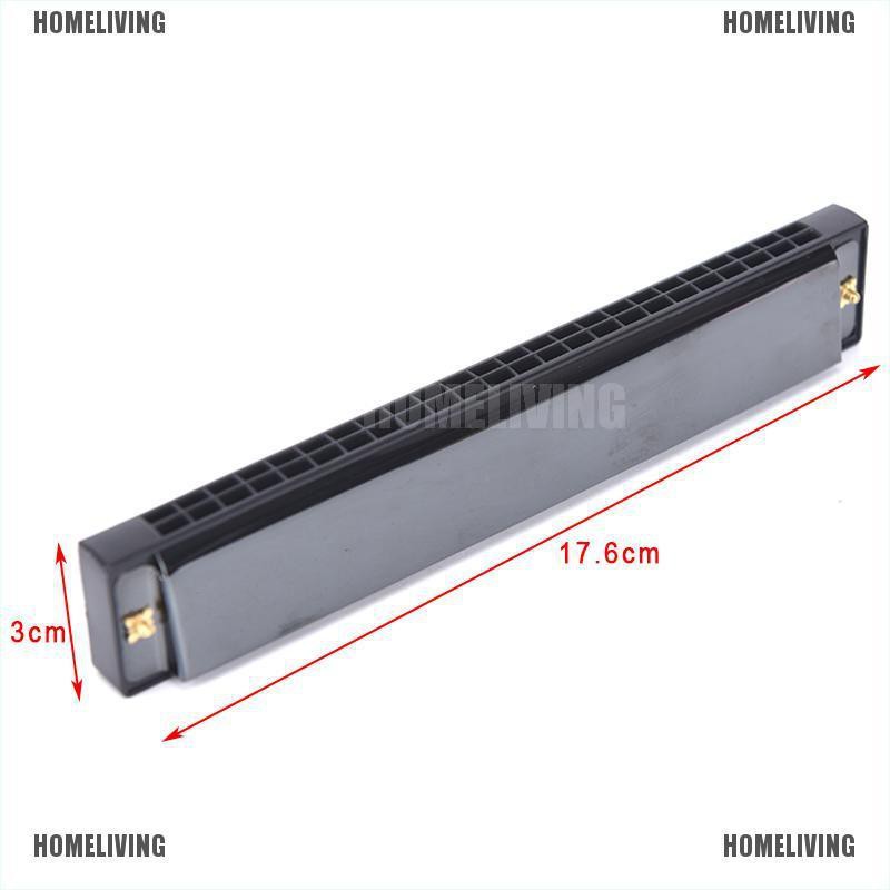 Kèn Harmonica Tremolo Hai Hàng 24 Lỗ Chuyên Dụng Chất Lượng Cao