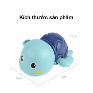Rùa Con bơi trong nước