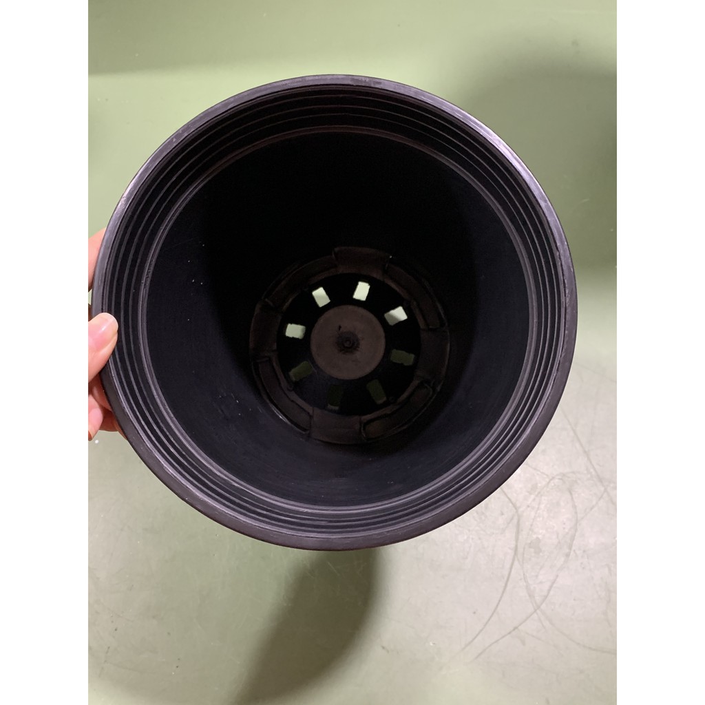 Chậu nhựa cứng 19x20 (cm) trồng cây TK màu đen