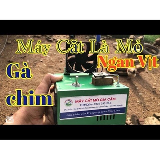 Cắt mỏ gà, ngan, vịt dễ dàng/an toàn/ bền bỉ / tiết kiệm /hiệu quả
