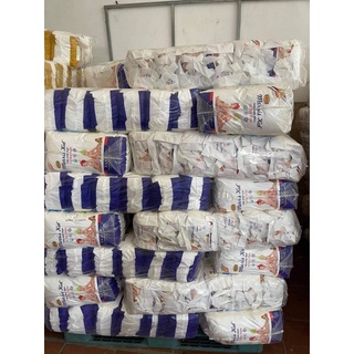 BỈM QUẦN MERRIS KID SIZE M104 L96 Xl88 XXL84  XXXL80 Miếng