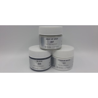 Màu Acrylic Đài Loan Sunway 100ml