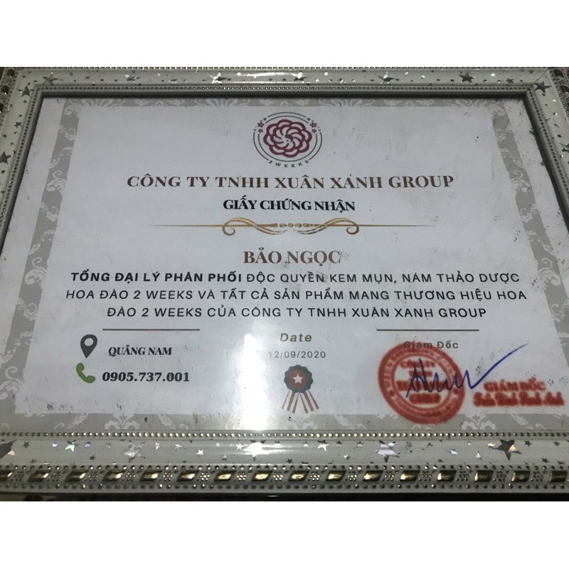 Kem Mụn Đông Y Hoa Đào, Kem Giảm Mụn, Mờ Thâm, Dưỡng Trắng Da Đông Y Beauty | BigBuy360 - bigbuy360.vn