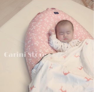 Gối chống trào ngược ELAVA