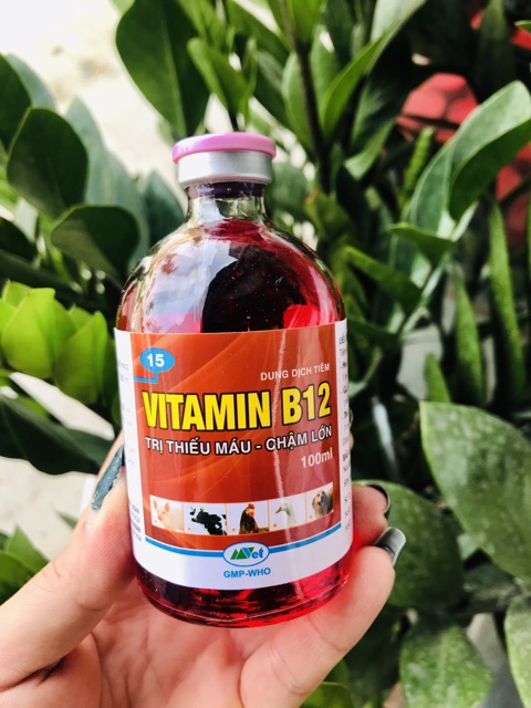 Vitamin B12 cho hoa Lan, cây cảnh - Giải độc cây - Tái tạo tế bào mới (100ml)