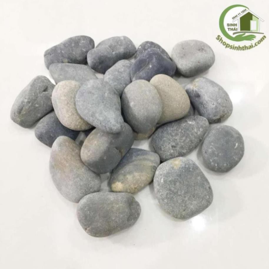 1kg đá sỏi đen viên lớn trang trí sân vườn, bể cá, chậu cây, chặn giấy trên bàn