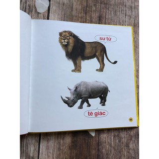 100 Từ Đầu Đời Của Bé - Con Vật