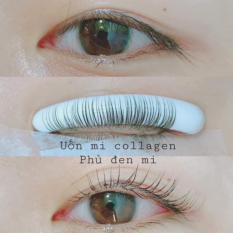 Set uốn mi colagen, uốn mi 3d, uốn mi 6D