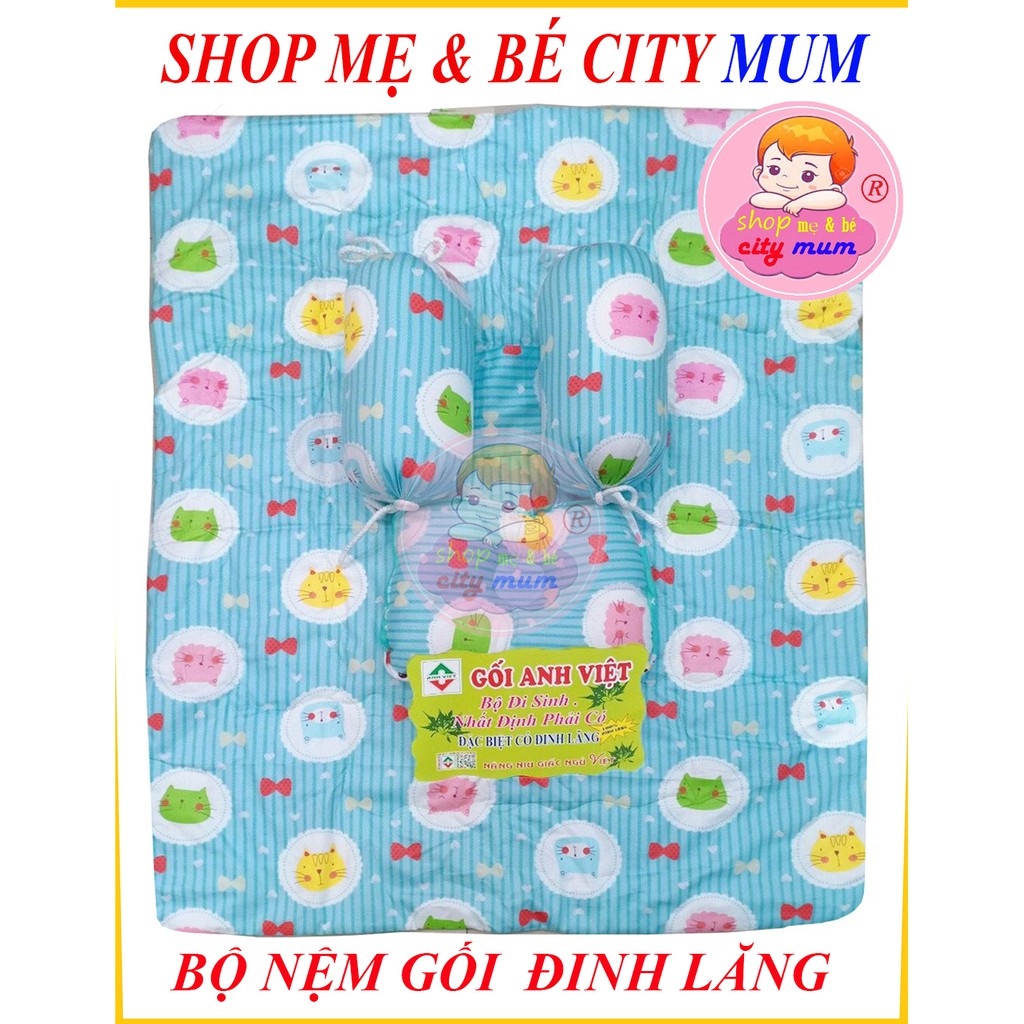 BỘ NỆM GỐI ĐINH LĂNG CAO CẤP CHO BÉ ( 2 GỐI ÔM+1GỐI NẰM + 1 NỆM)