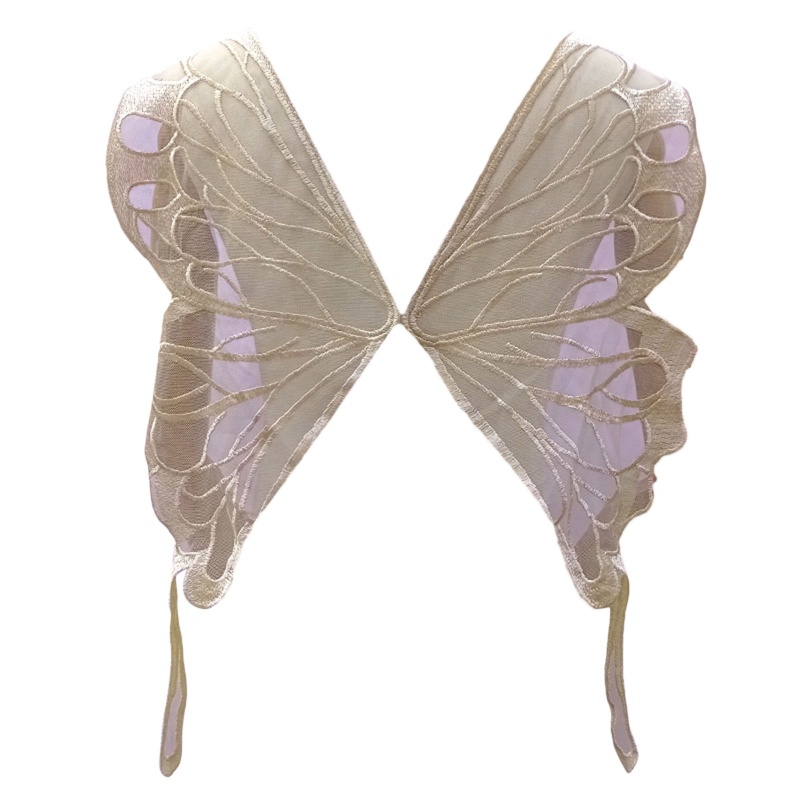 1 Cặp Miếng Vải Ren Lưới Thêu Hình Cánh Bướm Sau Lưng Dùng Trang Trí Đầm DIY