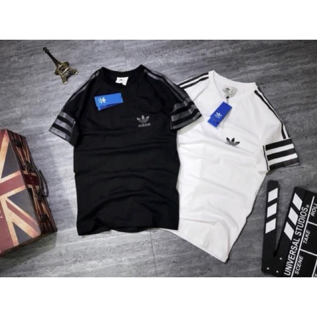 Album 115 - ÁO THUN COTTON THỂ THAO CAO CẤP VNXK VIỀN