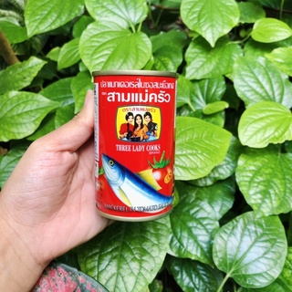 Cá hộp Ba Cô Gái 155gr (Nắp khui bật)