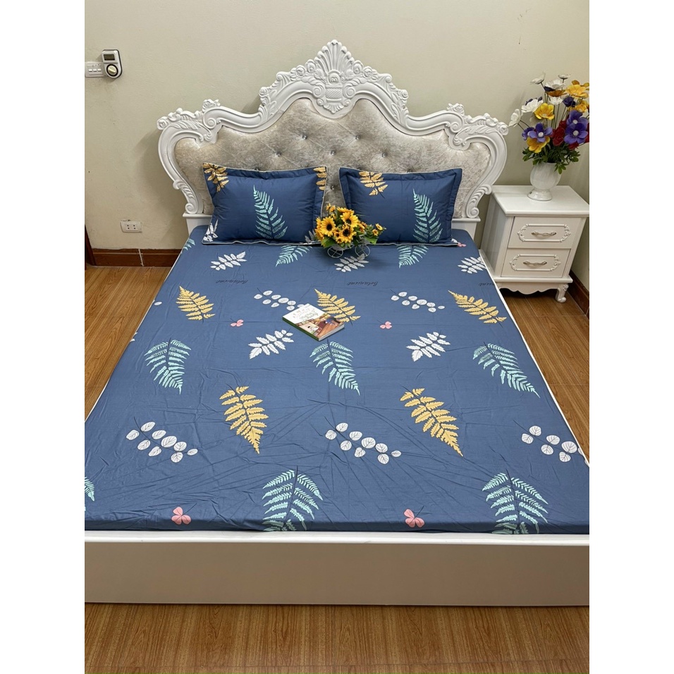 Ga chun trơn cotton hàn quốc, tặng kèm 2 vỏ gối nằm, mẫu mới 2022