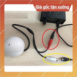 Micro thu âm thanh cho đầu thu ghi hình camera