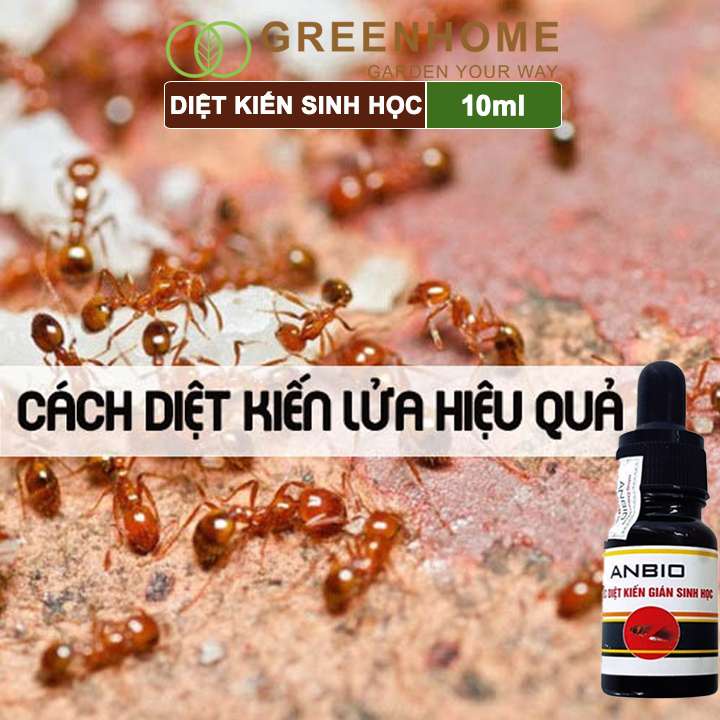 Thuốc diệt kiến gián sinh học Greenhome anbio, chai 10ml, thành phần tự nhiên, an toàn, hiệu quả, tiết kiệm