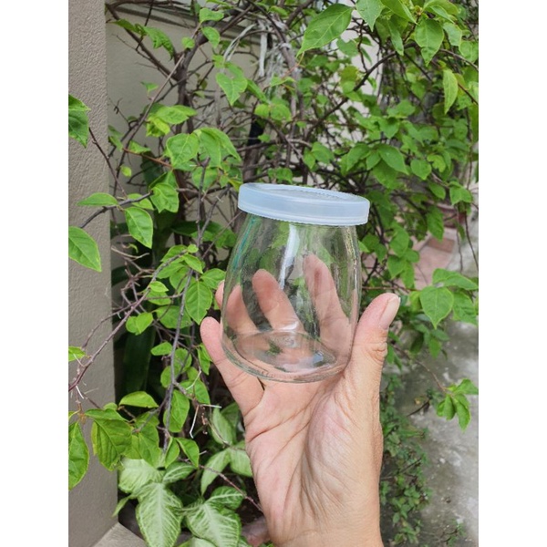 Hũ sữa chua 200ml