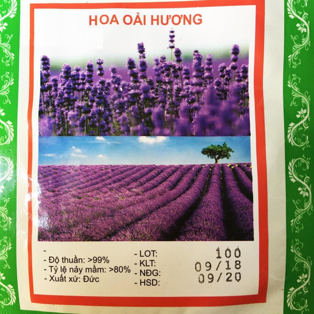 Hạt Giống Hoa Oải Hương Pháp 30 hạt