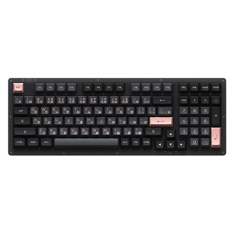 Bàn phím cơ AKKO ACR98 Black (Hotswap / RGB / AKKO CS sw Jelly Black)
