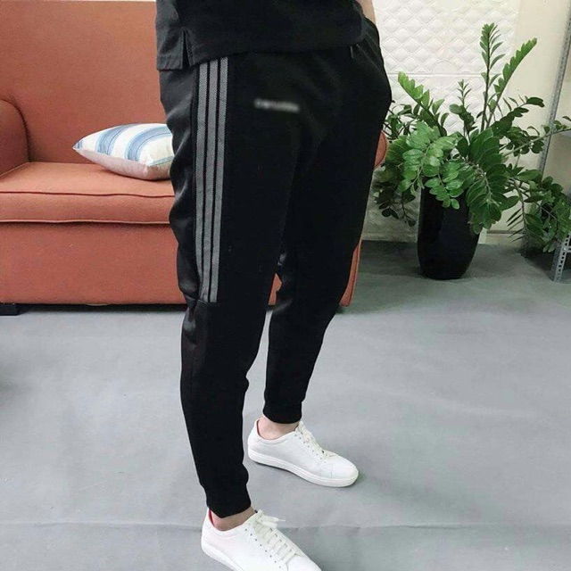 Quần jogger nam