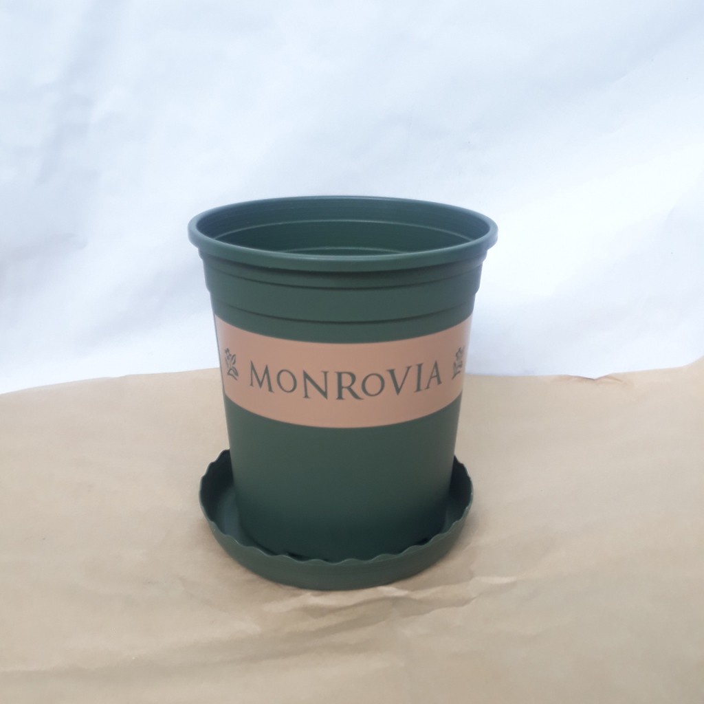SET 3 Chậu monrovia số 5GL 28x31cm xuất xứ Trung quốc chính hãng
