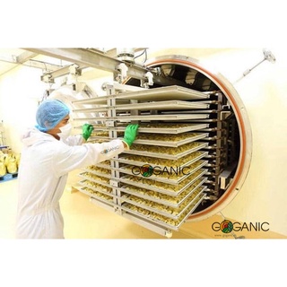 COMBO 3 Hộp Bột Rau Sạch Goganic